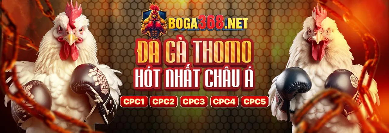 Liên hệ hỗ trợ Gamvip 24/7